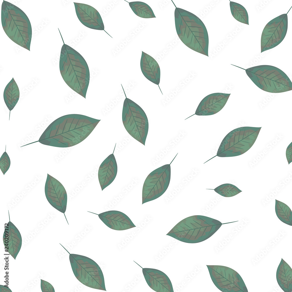 ecology leafs plants pattern ecology leafs plants pattern