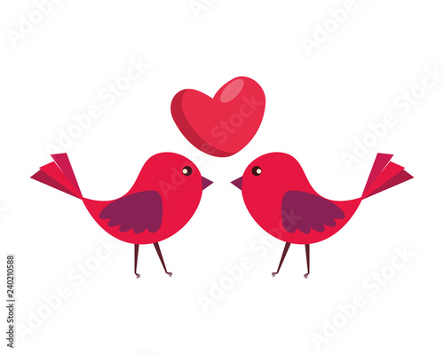 birds couple with heart love