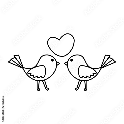 birds couple with heart love