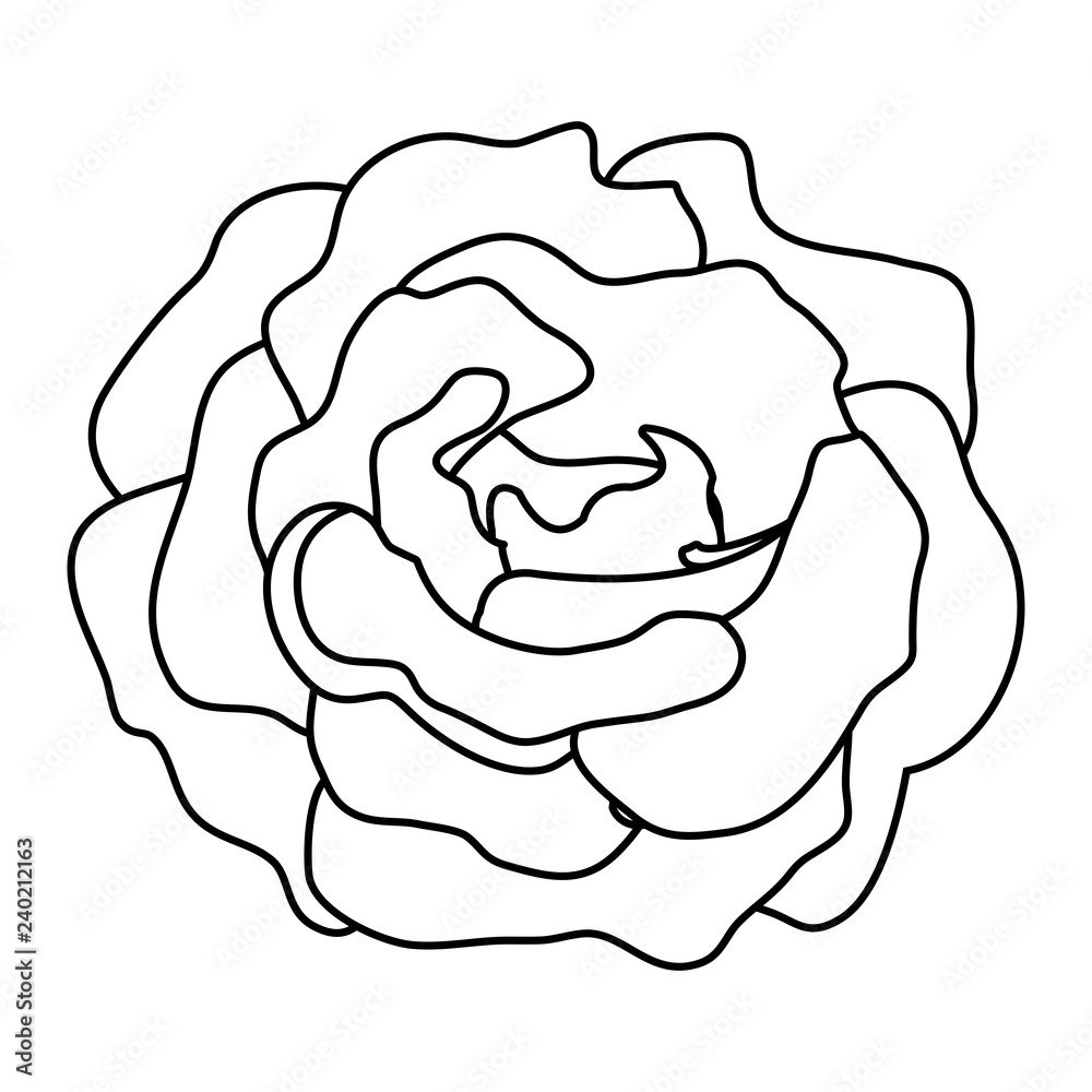 beauty rose isolated icon beauty rose isolated icon