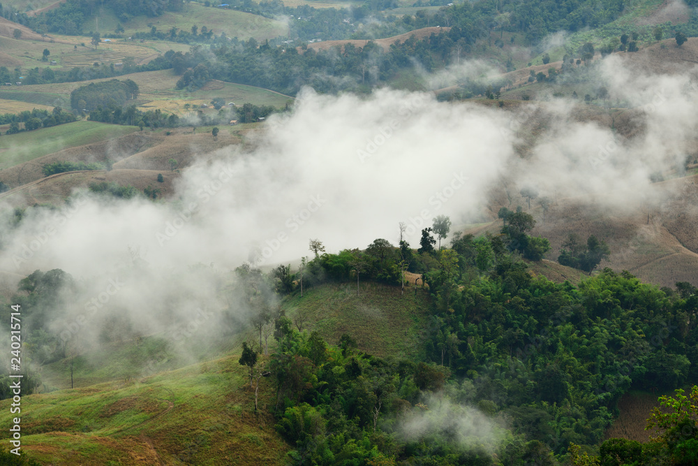 Morning landscape with mountains and mist at Doi Hua Mod, Umphan district, Tak, Thailand. Nature landscape view with mist. Morning landscape with mountains and mist at Doi Hua Mod, Umphan district, Tak, Thailand. Nature landscape view with mist.