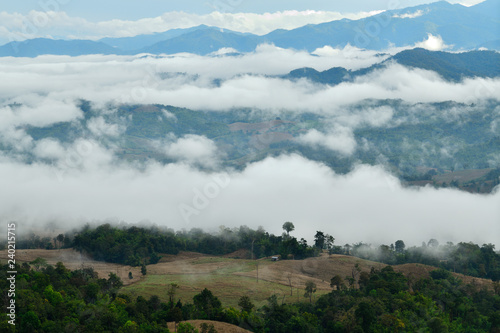 Morning landscape with mountains and mist at Doi Hua Mod  Umphan district  Tak  Thailand. Nature landscape view with mist.