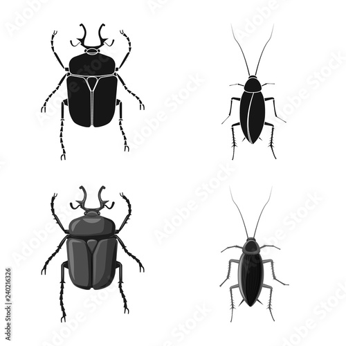 Vector illustration of insect and fly sign. Collection of insect and element vector icon for stock.