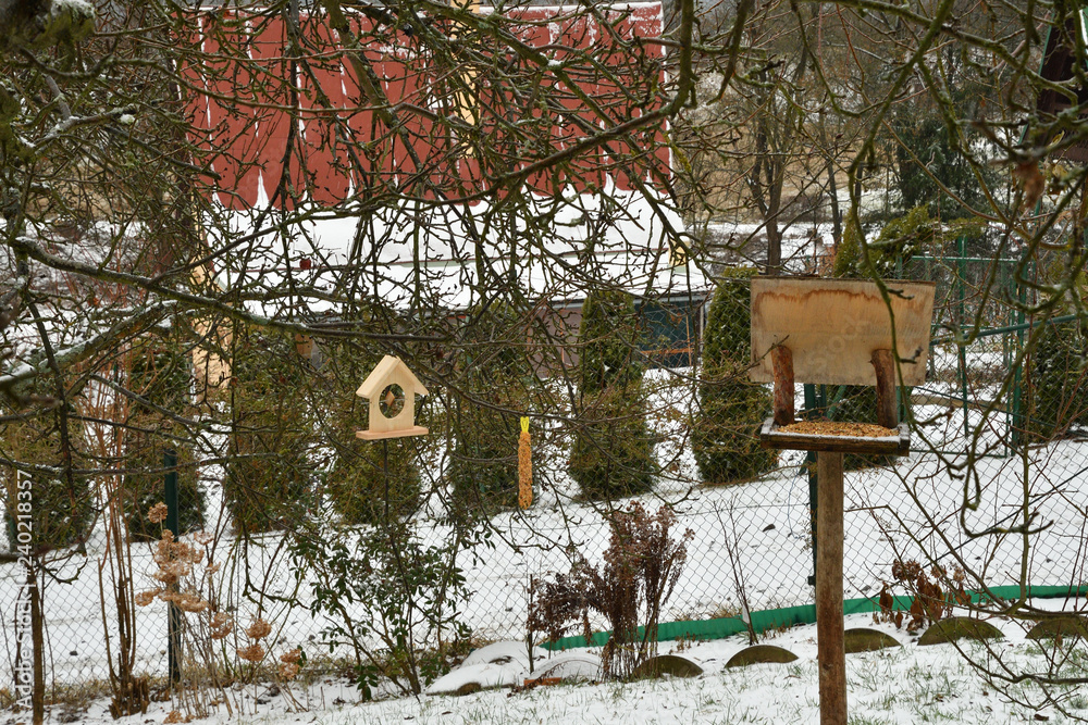 fodder rack with sunflowers millet grain seeds for feeding birds in winter snow fodder rack with sunflowers millet grain seeds for feeding birds in winter snow