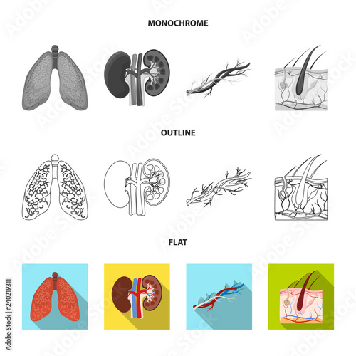 Isolated object of body and human sign. Set of body and medical vector icon for stock.