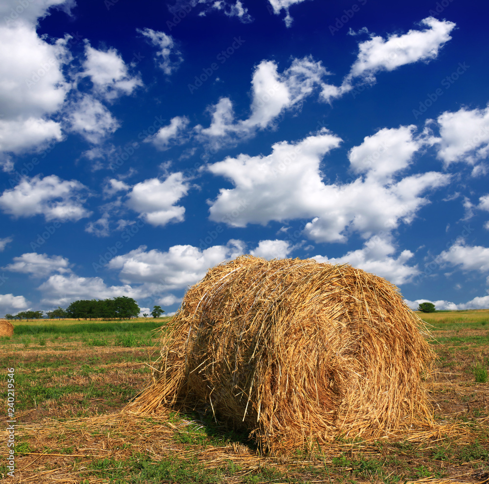 Hay bale in the countryside
