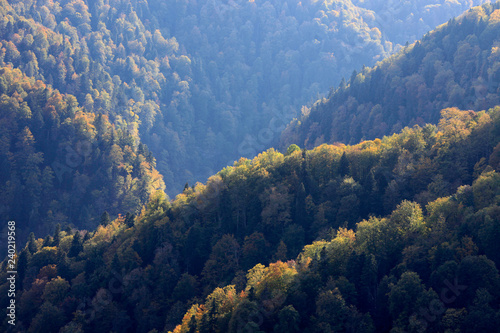 Mountain village Mezmay in Absheron district of Krasnodar region in Russia. Beautiful view of the Guam ravine