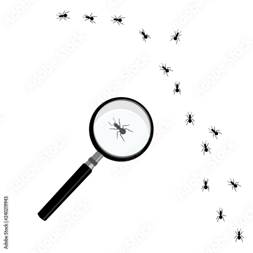 Vector illustration line of worker ants marching to some destination. Ant road
