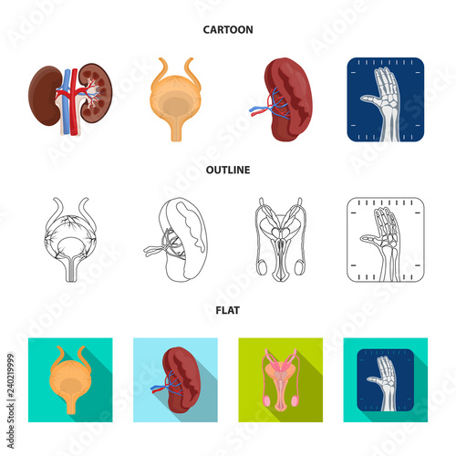 Vector design of body and human symbol. Collection of body and medical vector icon for stock.