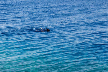 Foto auf Acrylglas Tauchen Man snorkeling over the coral reef in the Red Sea  © olyasolod