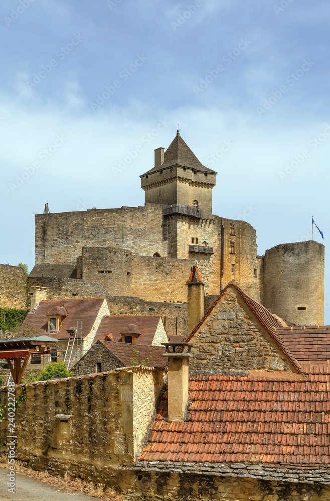 Chateau de Castelnaud, France