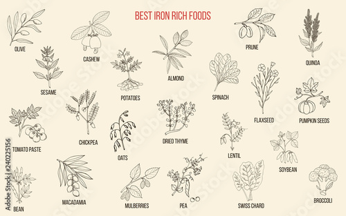 Best iron rich foods