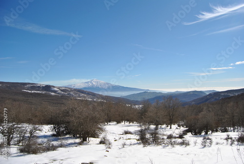 Paesaggio innevato