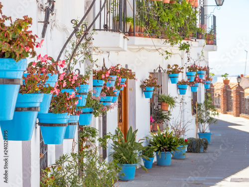 Fototapeta Beautiful street full of plants and pots of a traditional white village in AndalucÃa,south of Spain
