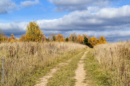Dirt road stretching into the distance and a field with a cloudy sky. Autumn relaxing landscape