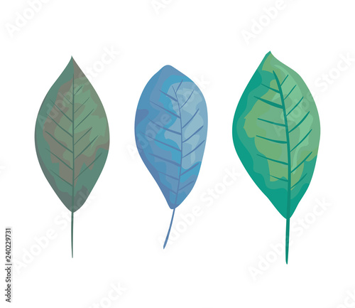 ecology leafs plants styles