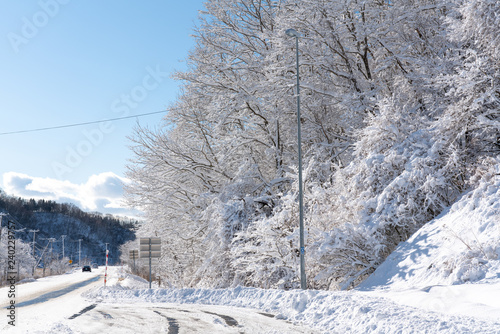 積雪後の北海道の道路
