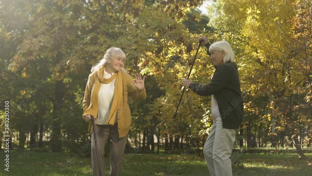 Two elder friends dancing and having fun in autumn park, active lifestyle, joy
