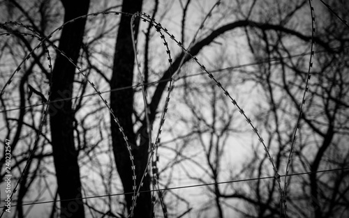 Barbed wire on fence with sky. Selective focus.