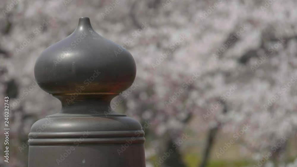桜のある風景 擬宝珠と桜 フォーカス送り 桜のある風景 擬宝珠と桜 フォーカス送り