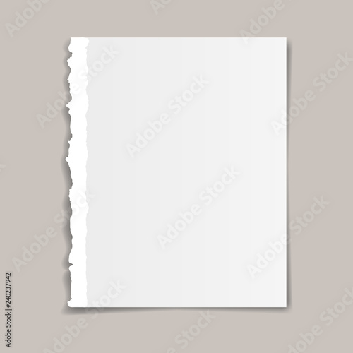 Scrap paper. Torn pieces of white sheet. Flat vector cartoon illustration.  Objects isolated on white background. Stock Vector
