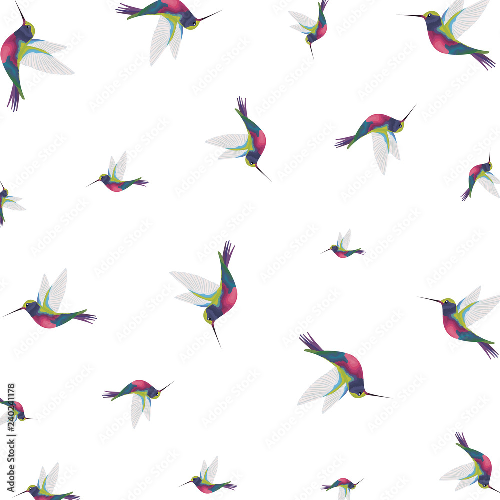 beautiful hummingbirds pattern background