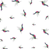 beautiful hummingbirds pattern background