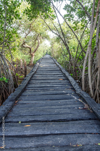 wooden bridge in the forest © karthikeyan
