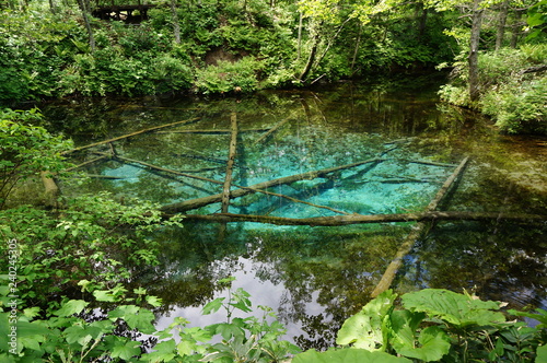 北海道・神の子池