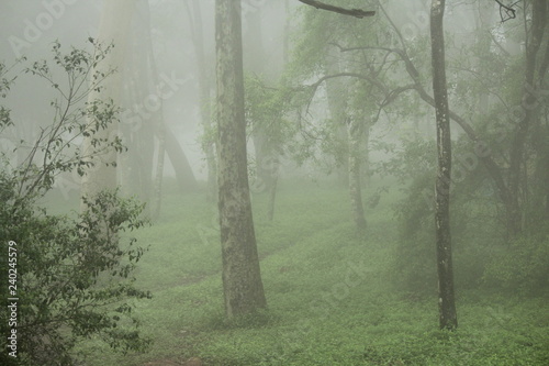 Early morning mist at Nandihills