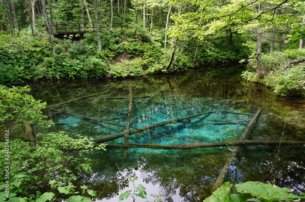 北海道・神の子池 北海道・神の子池