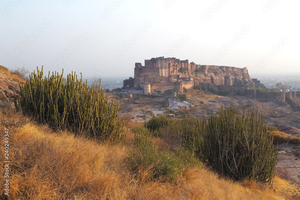 Jodhpur city in Rajasthan, India Jodhpur city in Rajasthan, India
