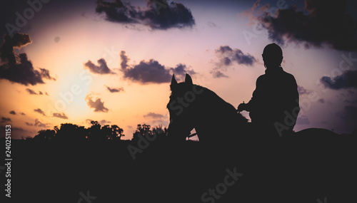 silhouette of man with hors