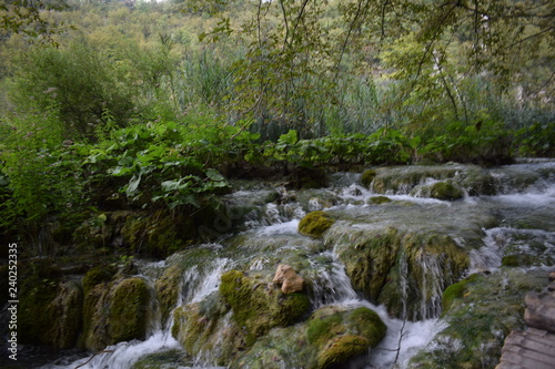 Fototapeta Naklejka Na Ścianę i Meble -  waterfall in the forest, Plitvice Lakes National Park, Croatian