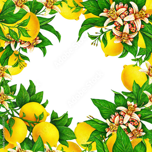 Seamless template for a festive wedding card. Fruit motives for design handwork. Yellow lemons with flowers and leaf in the form of a square frame