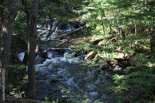 Waterfall  natural  forest