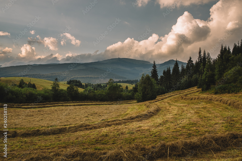 Obraz premium mountains of Low Tatras in Slovakia, nice nature