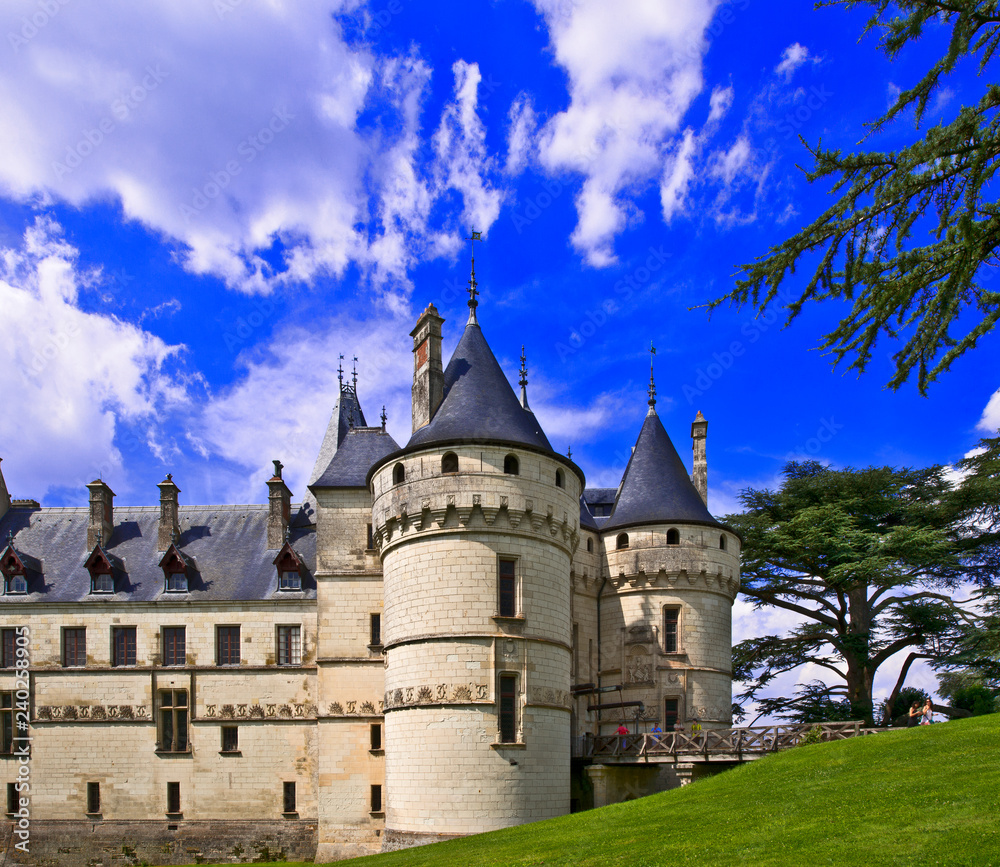 france,loire castles : chaumont castle & cedar
