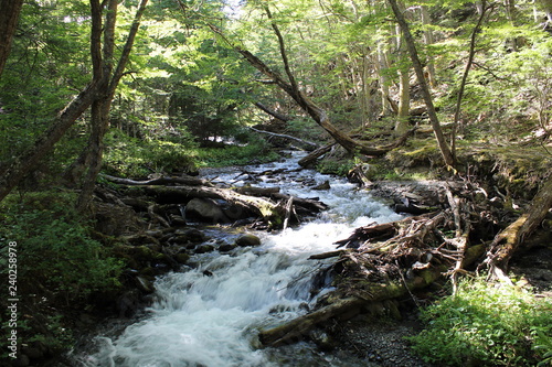 Landscape  waterfall  in  the  forest