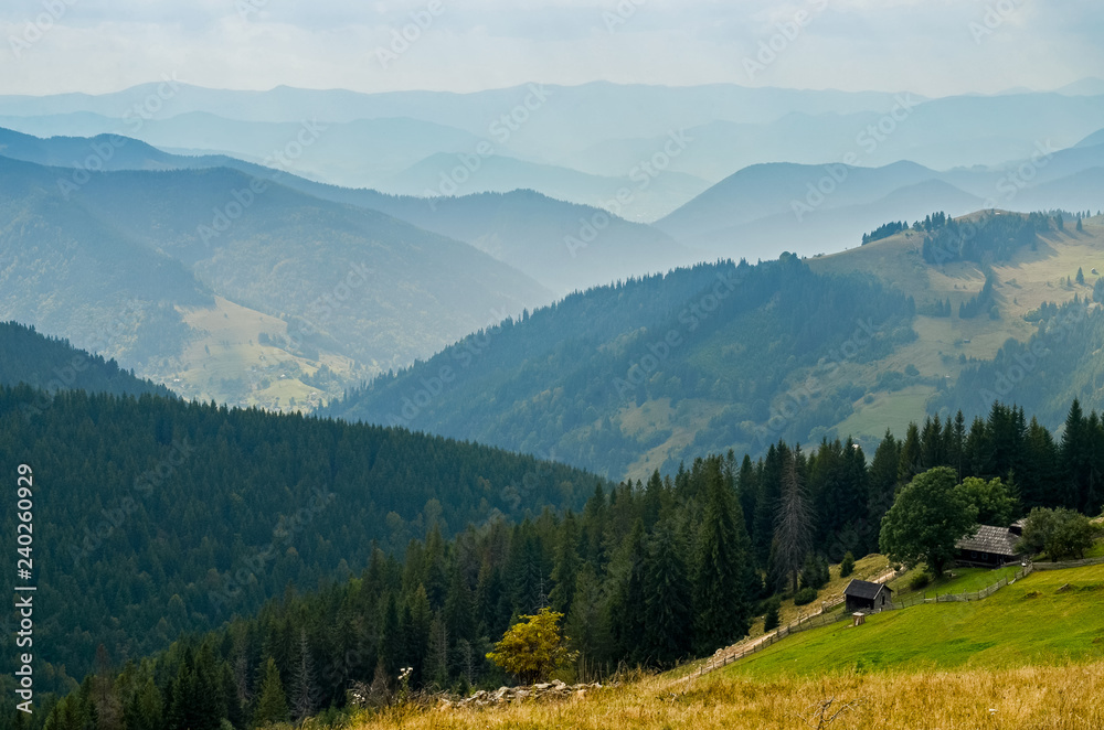 The peaks of the Carpathian Mountains. Mountain ranges covered with forests under blue clouds