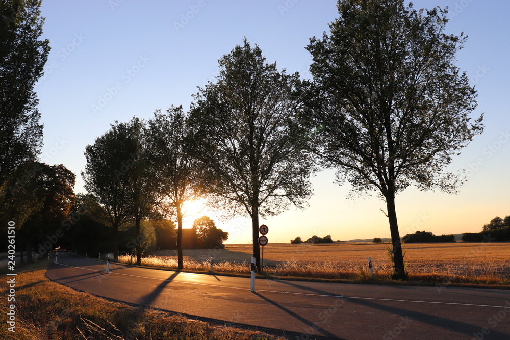 Fototapeta premium Landschaftsstraße bei Sonnenuntergang
