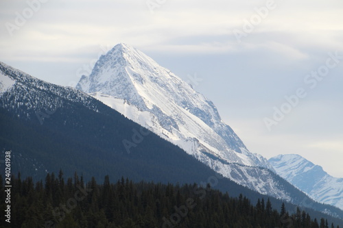 Snow Covered Peak  Jasper National Park  Alberta