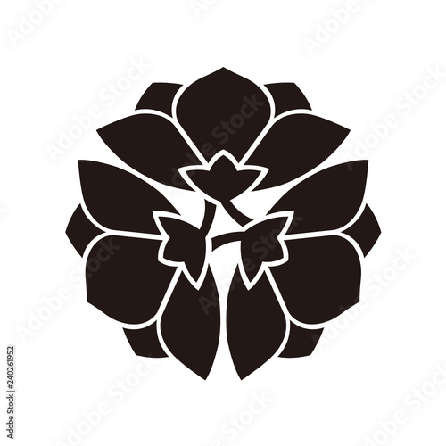 家紋　桔梗