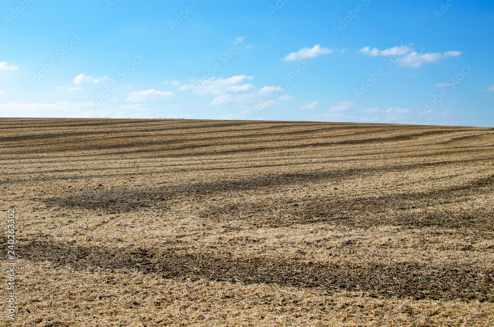 Soybean field after harvest in the fall.