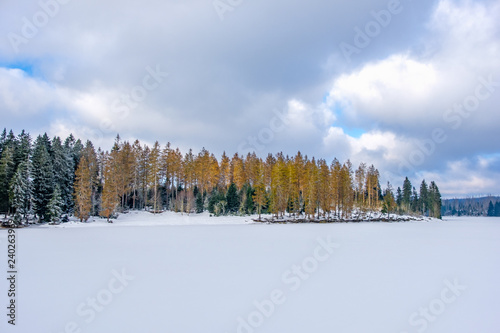 Nationalpark Harz im Winter Oderteich