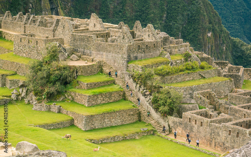 Zoom view of the stairs at Machu Picchu city, wih tourists going down, walking and visiting the anciente inca ruins, with llamas and very green grass