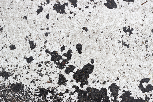 Asphalt pavement sign marking crosswalk white paint wet old surface texture detail
