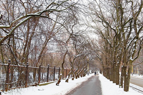 Vibrant view of winter campus of famous Russian university with snowed trees