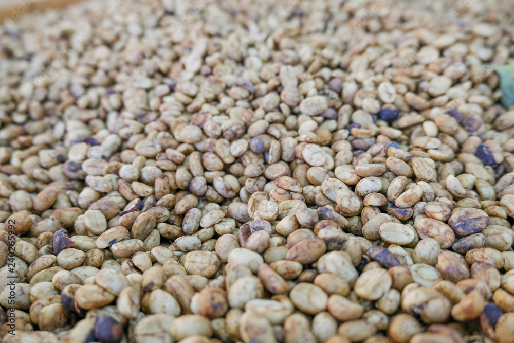 Fototapeta premium Coffee beans