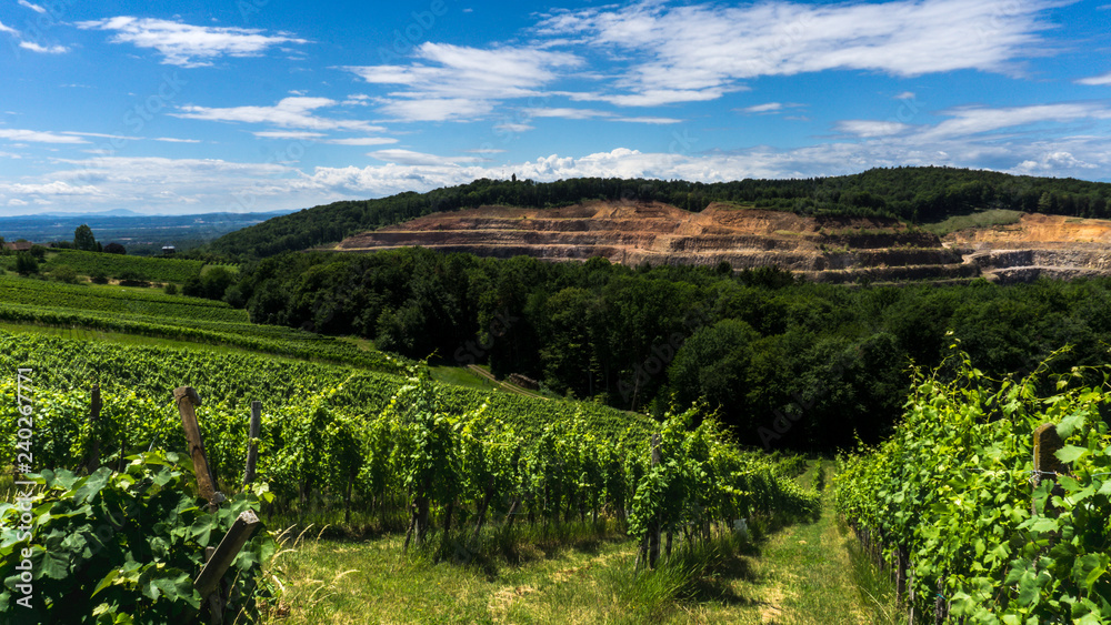 Vineyard in the front, quarry in the back